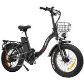 Electric Bike DrveTion CT20 - 20*4.0 Inch Tires 750W Motor 48V10AH Battery oil brakes - Black